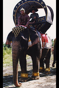 ELEPHANT & HOWDAH