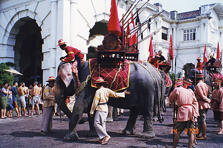 WAR ELEPHANTS