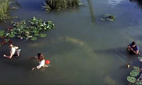 WATERY BOG AND SNAKE