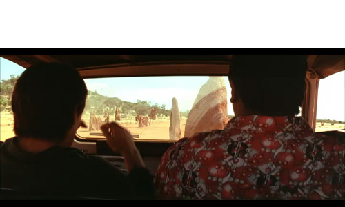 TERMITE MOUNDS