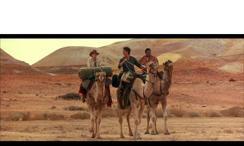 CAMELS